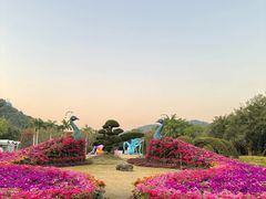 -东南花都花博园