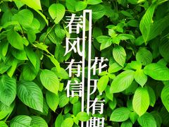 -云溪植物园