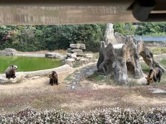 -杭州野生动物世界