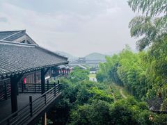 -大唐贡茶院