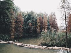 -云溪植物园