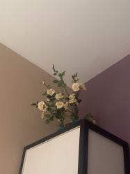 -香秀空间科技抗衰·美容中心