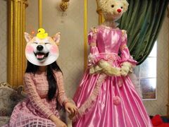 -济州岛泰迪熊博物馆