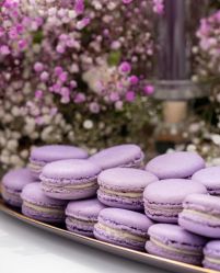 -锦江饭店·锦江小礼堂·宴会厅