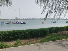 -天津东丽湖风景区