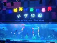 -泉城欧乐堡海洋极地世界