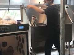 -久久宠物(河东万达店)