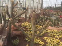 -南通洲际绿博园