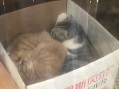 -边渡咖啡烘焙店(昙华林店)