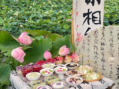 -七的湖·晚芳亭·阳澄湖农家菜·大闸蟹(莲花岛店)