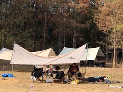 -青龙山国家森林公园