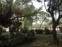 -广东圆玄道观