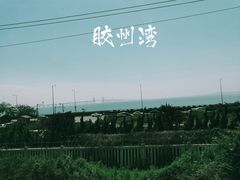-八大关景区