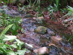 景点-龙山酒店温泉