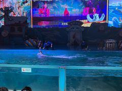 -大连圣亚海洋世界
