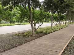 -汉长安城未央宫国家考古遗址公园