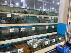 水产区-秋姐美食店(旅游大道店)