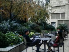 -羿庭 Peacock Alley(上海外滩华尔道夫酒店)