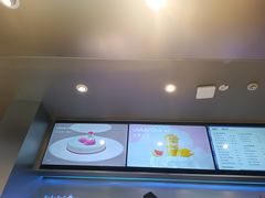 -TD66高山铁皮石斛养生茶饮