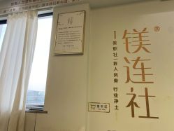 -镁连社·美联社