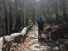 -阳台山自然风景区