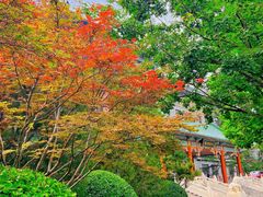 -北京友谊宾馆·俄罗斯餐厅