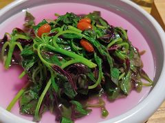 鸡汤浸苋菜-潮粥荟·潮汕砂锅粥(朝阳大悦城店)