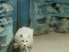 -华夏文旅西安度假区