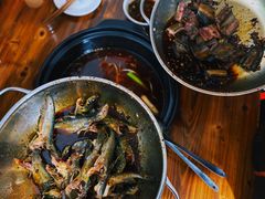 -金海椒罐罐鲢鱼(东方桂苑店)