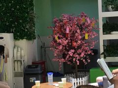 -学知乐教育·幼小衔接·小学科辅导(嘉定镇校区)