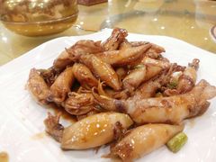 -鸿达渔港