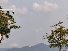 -深圳湾公园(南山区)