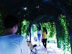 -东莞植物园