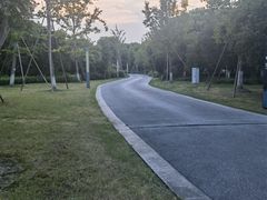 -九科绿洲