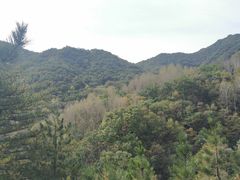 -玉渡山自然风景区