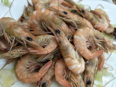 -渔家小院观海海肠捞饭地方菜(环海中路店)