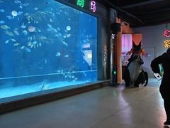 -邯郸海洋世界