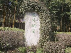 -十八棵（老龙井）御茶园(老龙井店)