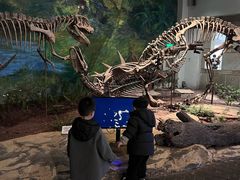 -自贡恐龙博物馆