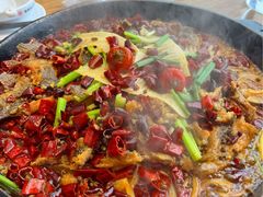 -老板恋上鱼(恒隆广场店)