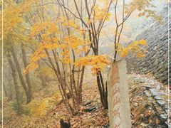 -五女山景区