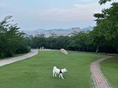 -甘井子公园