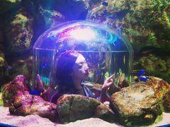 -暹罗海洋世界