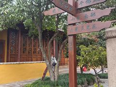-灵岩山风景区