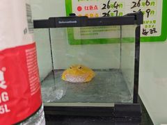 -悦宠凯宝动物医院·牙科·皮肤科(朝阳北路店)