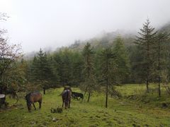 -硗碛藏寨·神木垒景区