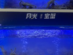 -蟹状元大闸蟹·年货·粽子(成都成华店)