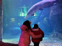 -华夏文旅海洋公园