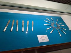 -青岛贝壳博物馆
