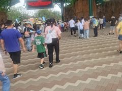 -苏州乐园森林水世界